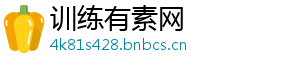 训练有素网